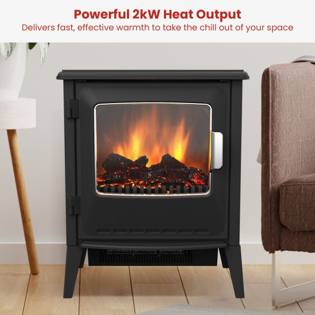 Dimplex 2kW Riley Portable Electric Fire Stove Image 7