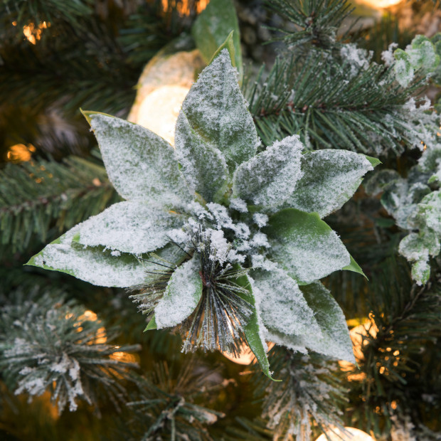 Snowy Crown Pine 3.6m Multicolour Pre-Lit Christmas Tree Image 7