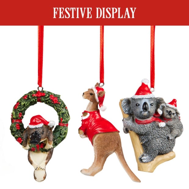 Aussie Animals Pack of 6 Christmas Baubles Decoration Gift Pack Image 7