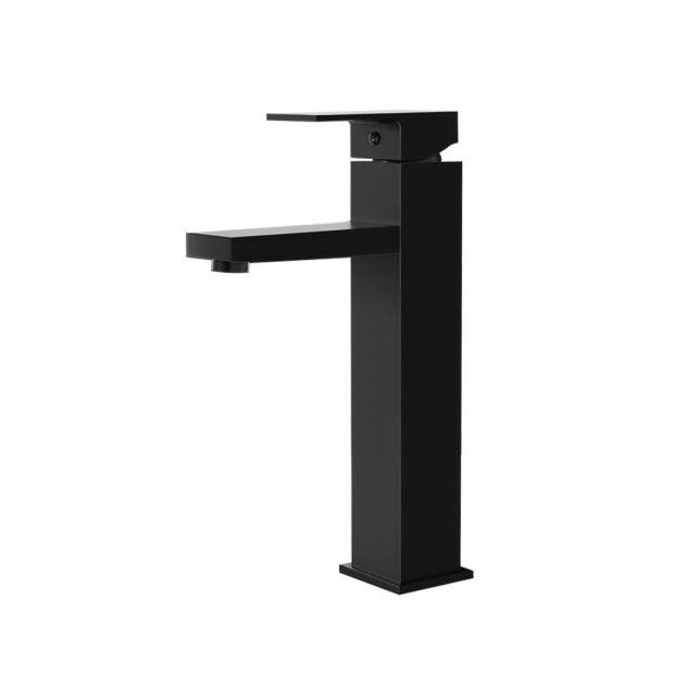 Basin Mixer Stainless Steel Tap Faucet Matte Black