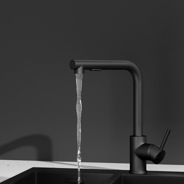 Kitchen Mixer Tap Pull Out 2 Mode Sink Basin Faucet Swivel Wels Black Image 4