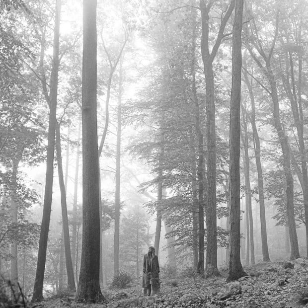TAYLOR SWIFT FOLKLORE (IN THE TREES EDITION) - DOUBLE VINYL ALBUM