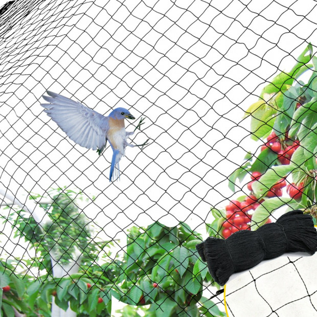 Commercial Fruit Tree Plant Knitted Anti Bird Netting 5x100m&4gsm