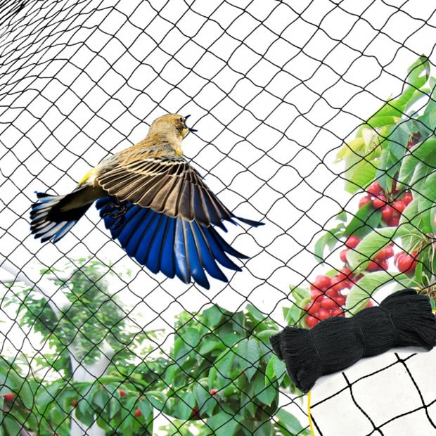 Commercial Fruit Tree Plant Knitted Anti Bird Netting