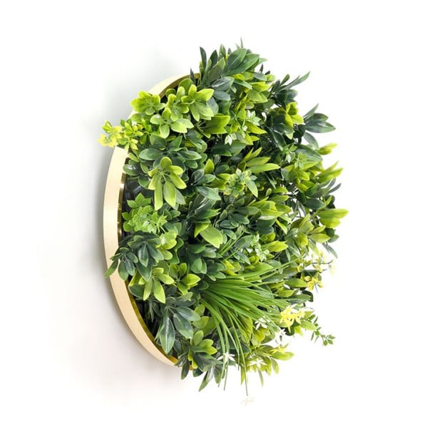 Artificial Green Wall Plant Garden Daffodil Disc Art 50cm UV Resistant Image 2