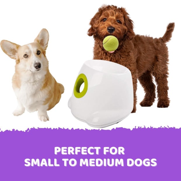 Automatic Ball Launcher Throwing Machine Dog Tennis Pet 6 Balls Image 9