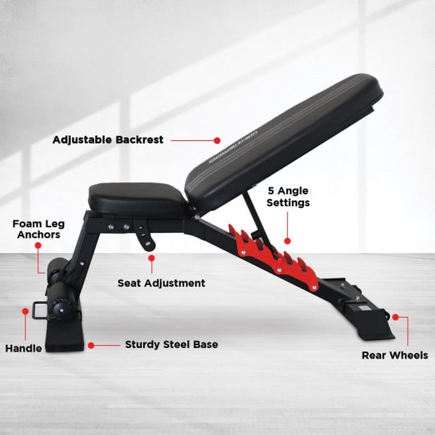 Powertrain Home Gym Adjustable Dumbbell Bench Image 8