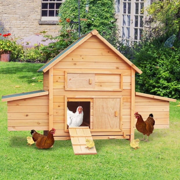 Furtastic Wooden Chicken Coop & Rabbit Hutch With Ramp and Nesting Boxes Image 9