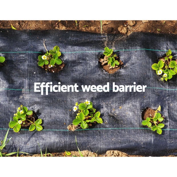 3.66m x 50m Weedmat Weed Control Mat Woven Fabric Gardening Plant PE Image 6