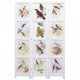 image thumbnail