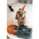 image thumbnail