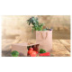 50 X Kraft Brown Paper Carry Bags 28(l)x33(h)x10(w)cm Image 1 thumbnail