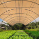 50% Shade Cloth Roll 1.83 x 50m - Beige Image 6 thumbnail