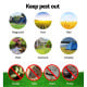 image thumbnail