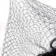 preview zoom