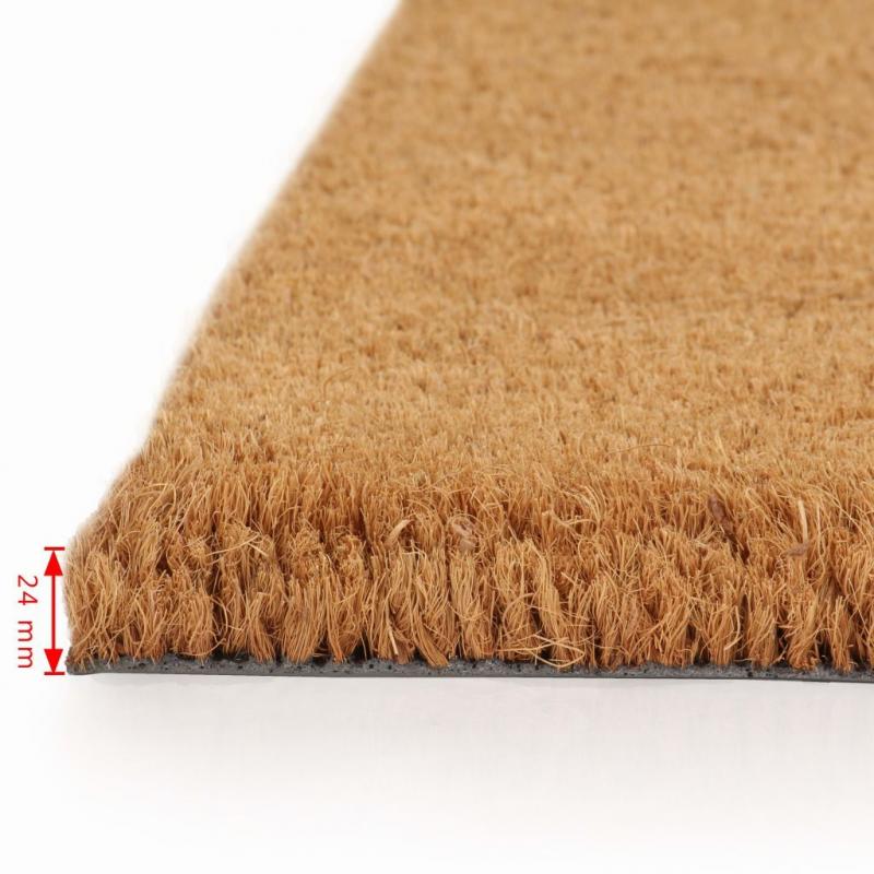 Doormats 2 Pcs Coir 24 Mm 40x60 Cm Natural