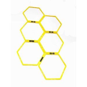 Fitness Agility Grid System