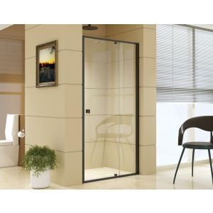 Adjustable Semi Frameless Shower Screen (98~106) X 195cm