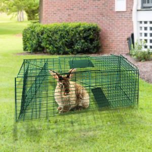 Small Animal Trap Humane Cage Pet 