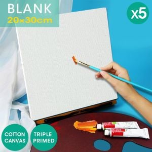 Oil Canvas  Frame 20x30