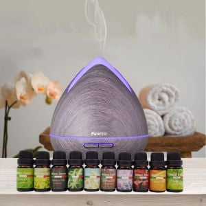 Diffuser Set With 10 Pack Diffuser Oils Humidifier Aromatherapy