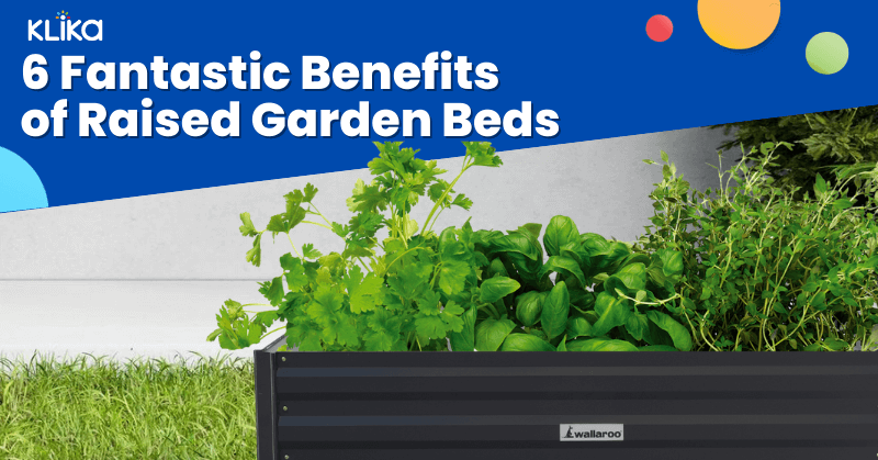 6 Fantastic Benefits of Raised Garden Beds