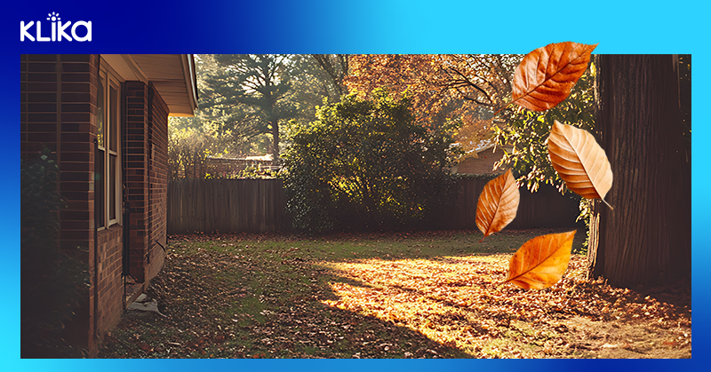 backyard in autumn with fallen leaves scattered